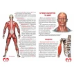 Велика книжка. Анатомія людини . Фото 4