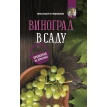 Виноград в саду. Проверено на практике. Николай Иванович Курдюмов. Фото 1