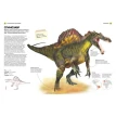 Всё о динозаврах. Фото 6
