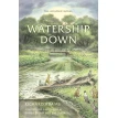 Watership Down: The Graphic Novel. Ричард. Фото 1