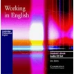 Working in English. Audio CD Pack. Leo Jones. Фото 1
