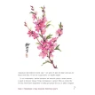 Японская живопись суми-э. Цветы четырех сезонов. Пишем растения тушью. Александра Васильева. Фото 9