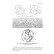 Жемчужина Эйлера. Формула Эйлера для многогранников и рождение топологии. Дэвид С. Ричесон. Фото 15