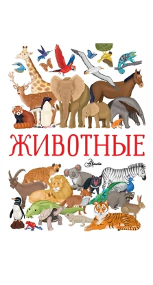 Животные. Иллария Барсотти