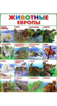 Животные Европы