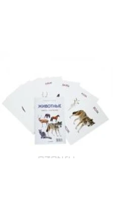 Животные (+ набор из 16 карточек). Тамара Шапошникова