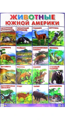 Животные Южной Америки