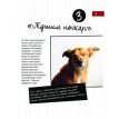 Жизнь с собакой. 111 невероятных лайфхаков. Анке-Мария Зенфтлебен. Фото 12